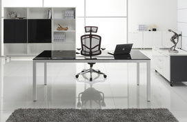 glass executive desk 深圳東方華奧辦公家具廠專業(yè)生產(chǎn)銷售優(yōu)質(zhì) 實(shí)惠 環(huán)保的glass executive deskcg wm10及 等配套產(chǎn)品
